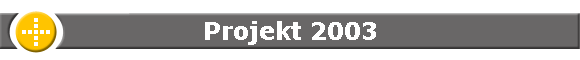 Projekt 2003
